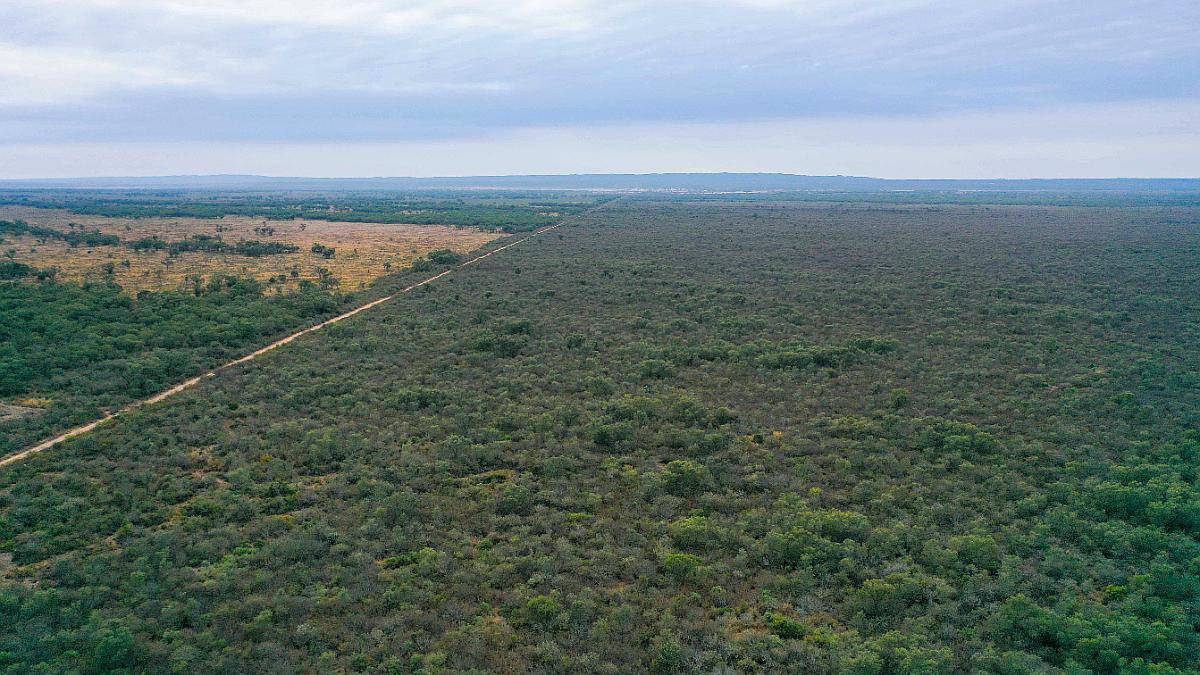 Pcia. de Santiago del Estero - Tapso 1948 Has