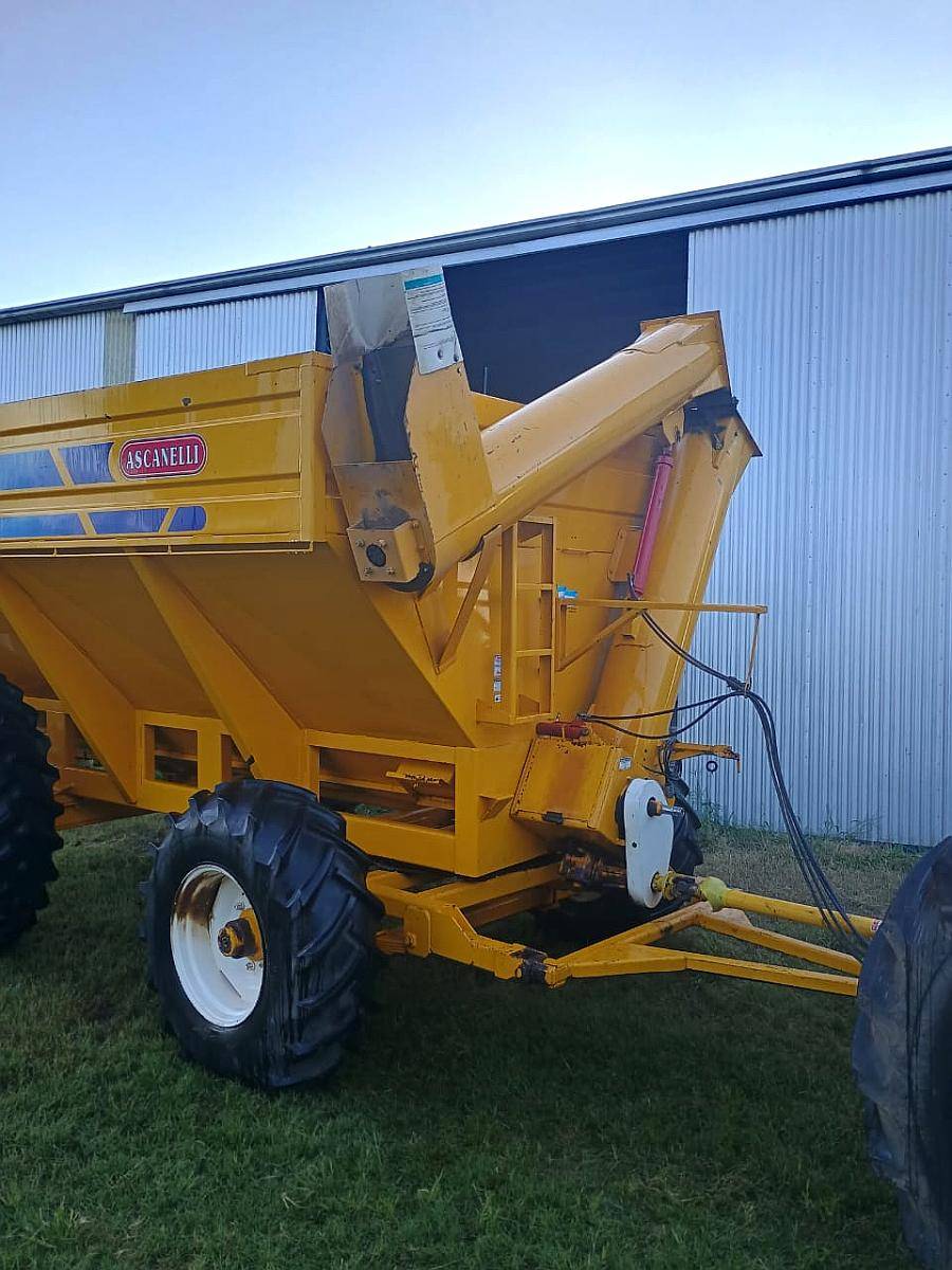 Ascanelli de 17 Toneladas con Lona