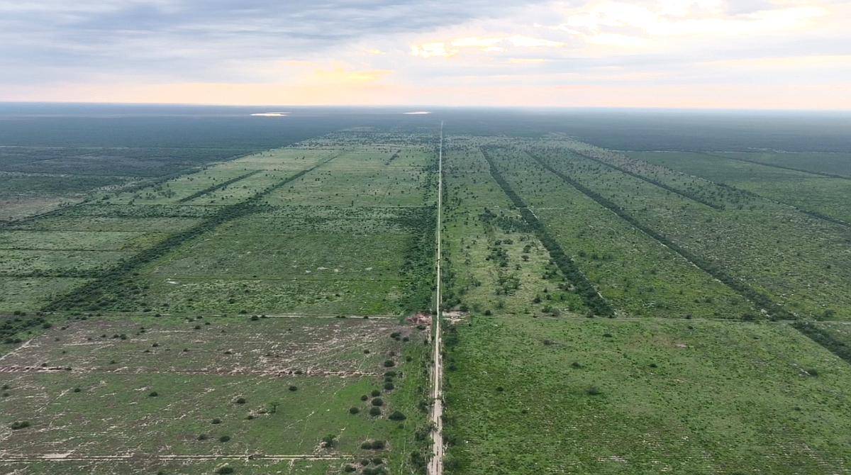Santiago del Estero Gran Campo Ganadero 4.300 Has