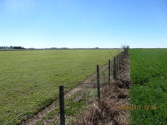 Santa Teresa - 178 Ha - Santa FE