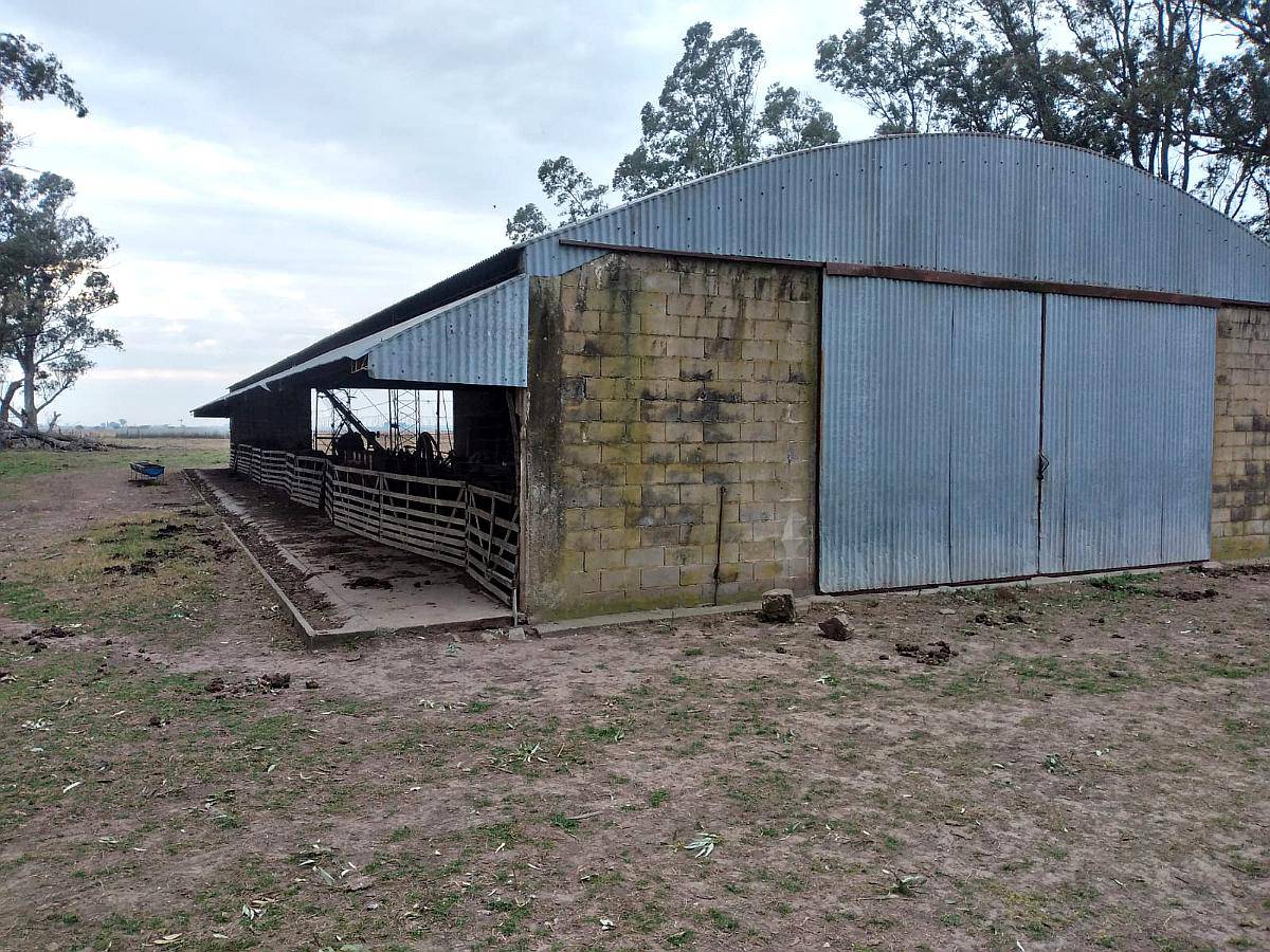 Galpon de 12 Metros de Ancho por 35 Metros de Largo