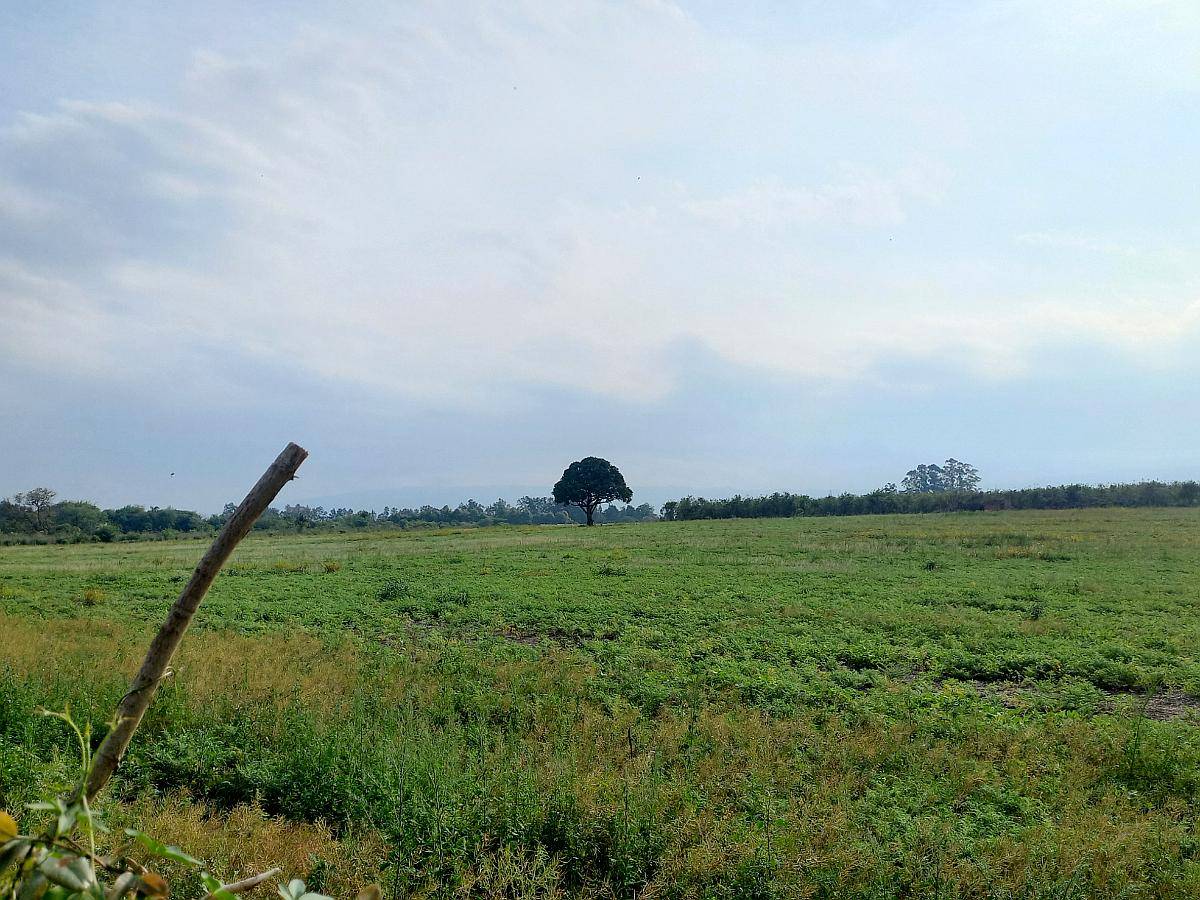 Hectareas Agricolas en Tafi Viejo Tucuman