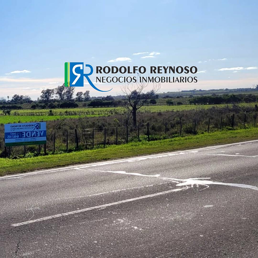 5.5 Hectáreas en Villa Elisa, ER. S/ Ruta 130