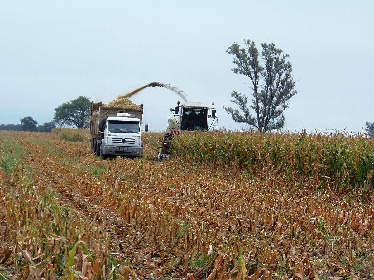 picado de Forrajes Agroads