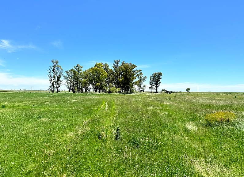 Excelente Campo de 127 Ha Sobre RN 226 Zona Carlos Tejedor