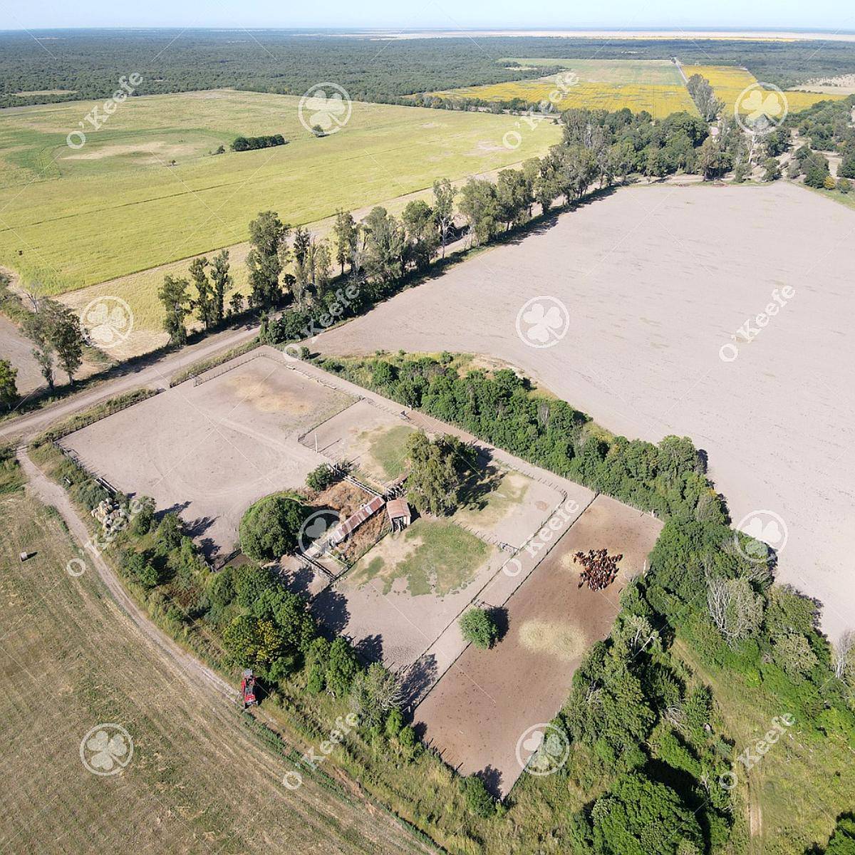 Campo en Venta de 31000 Has en Santa FE. Ganaderas/agrícolas