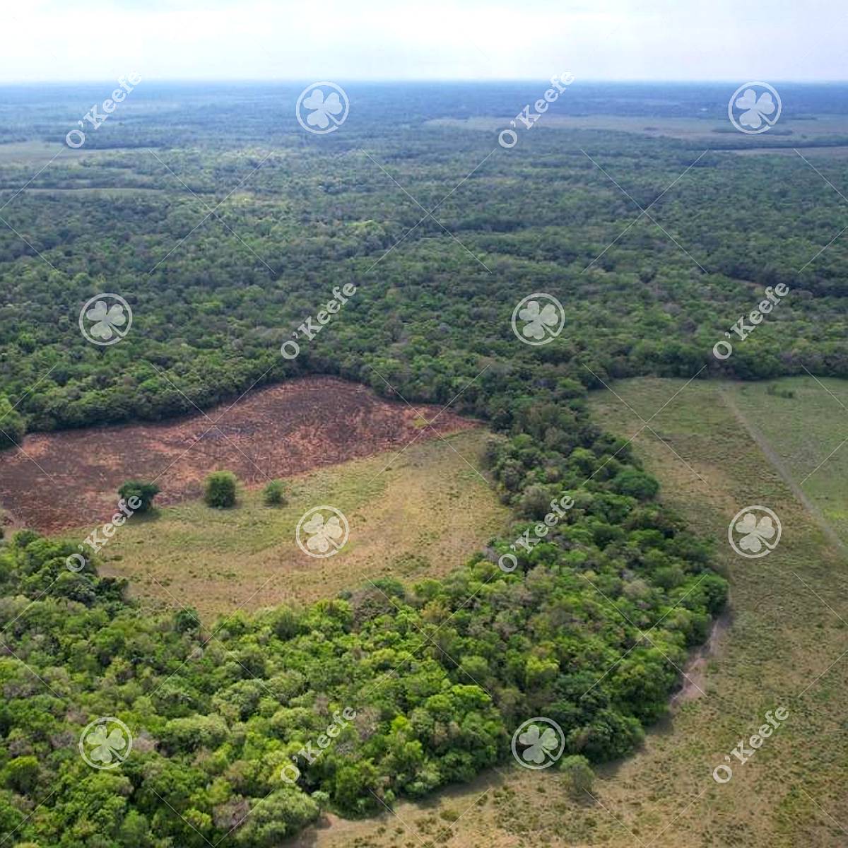 Campo en Venta de 1150 Has en Formosa. Cerca de Ruta Nac. 11