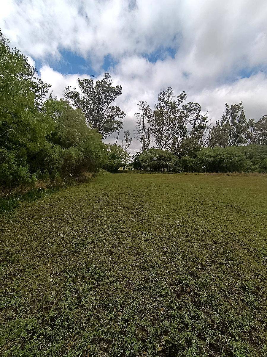 Campo de 20 Hectáreas Aptas Loteo