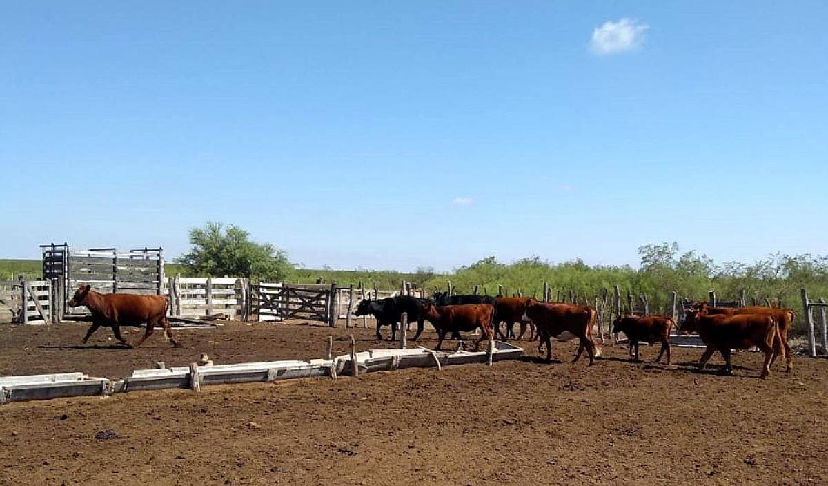 30.000 Ha Algarrobo del Aguila