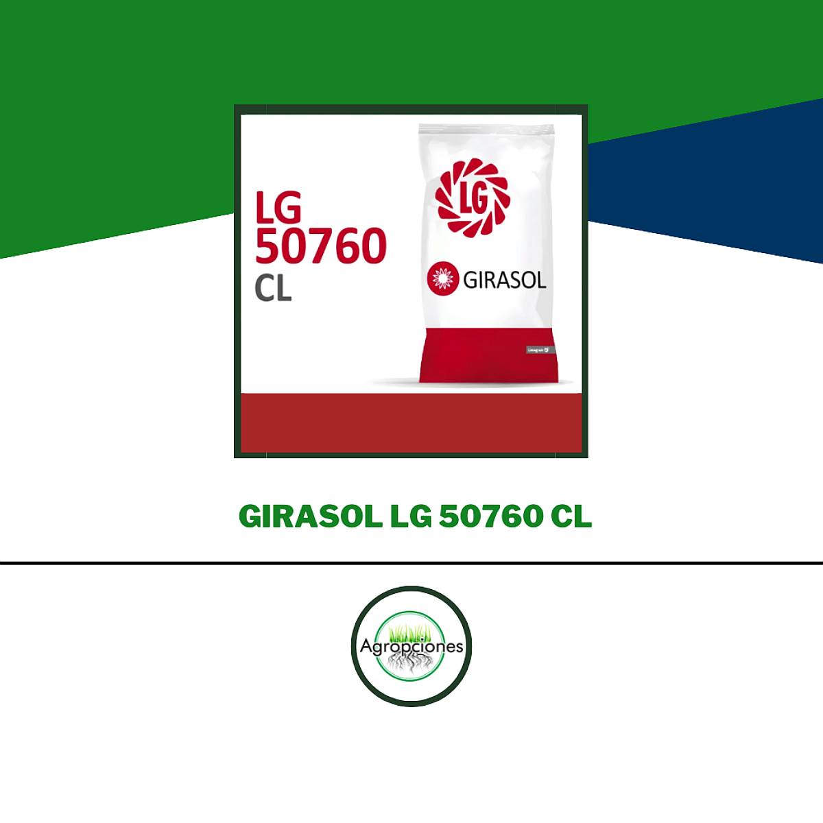 Semilla de Girasol 50760 CL - Limagrain