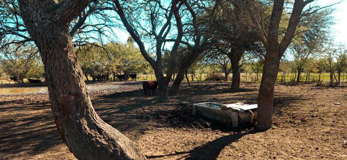 7.387 Ha Cuchillo CO, la Pampa