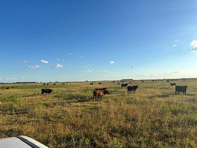 Venta de Campo Mixto con Mejoras de Trabajo.