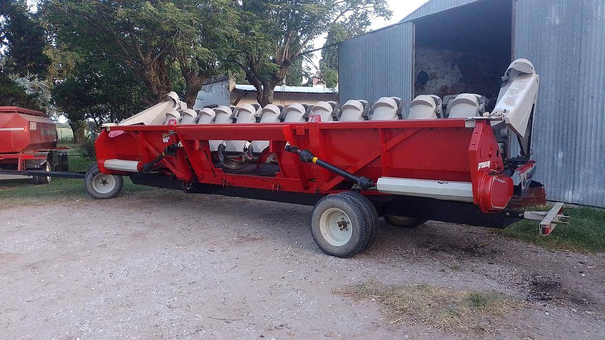 Maicero Maizco de 13 a 52