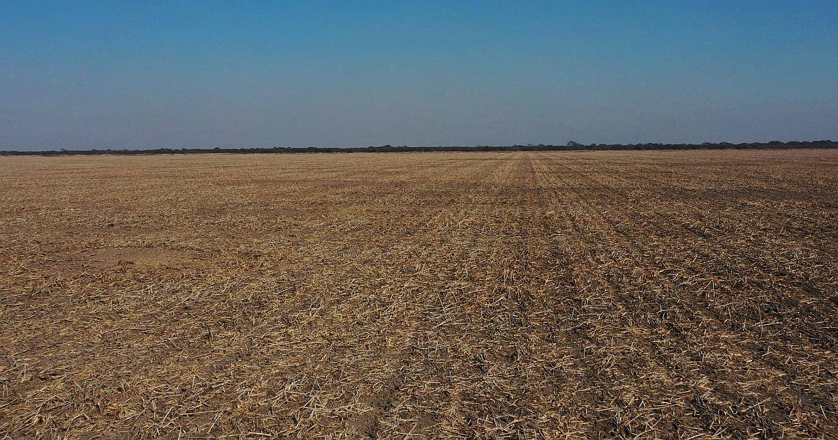 Santiago del Estero Bandera Fortin Inca 1.000 Has Agricolas