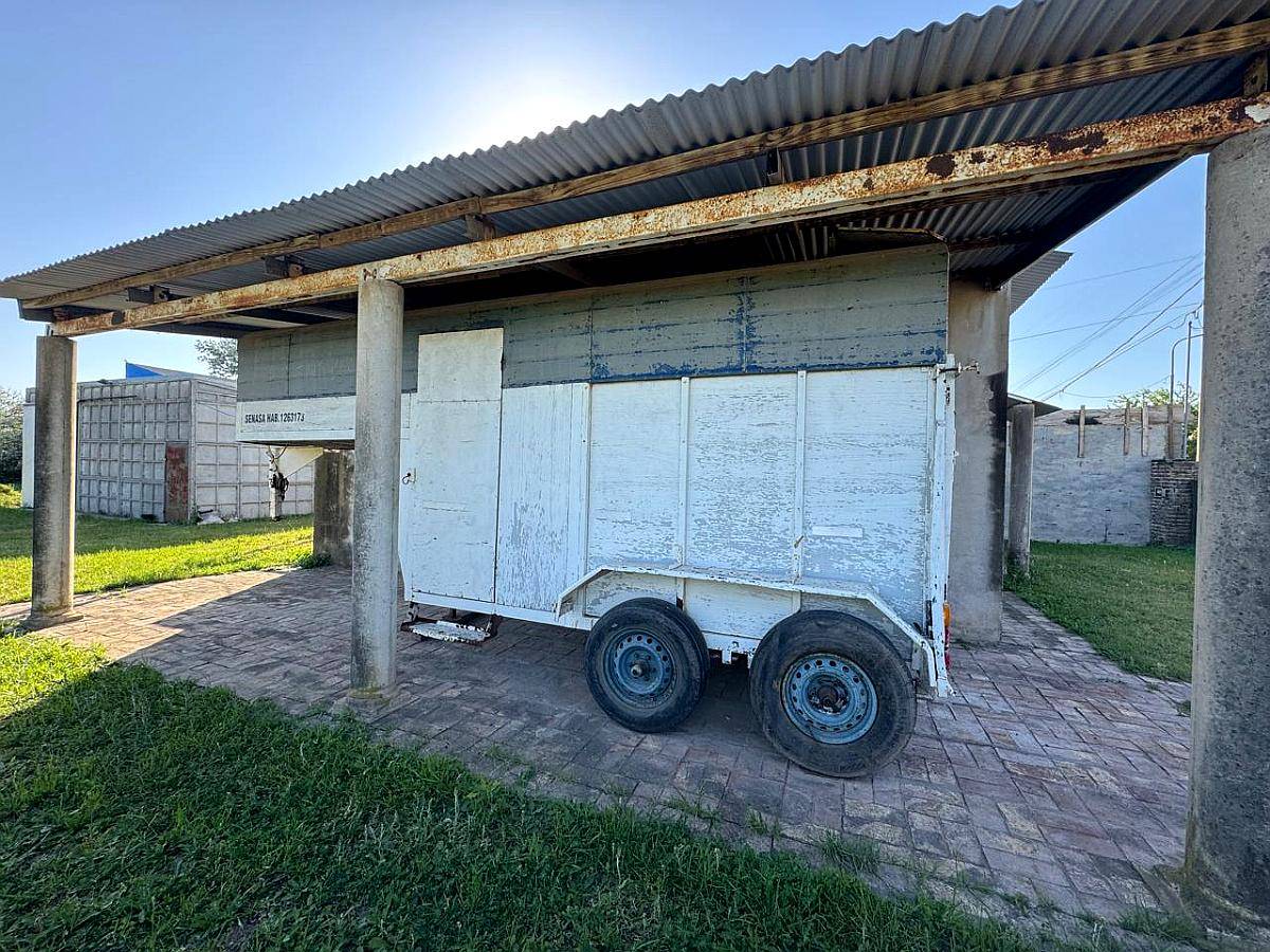 Trailer para 2 Caballo Doble Eje