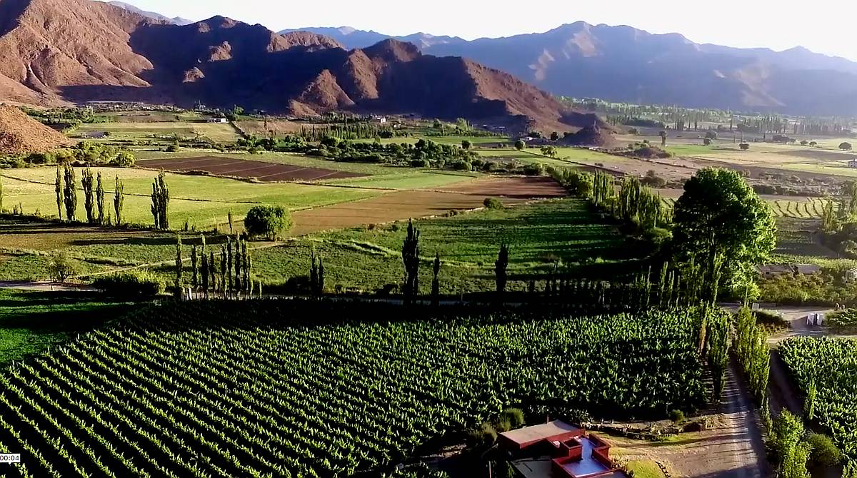 Pcia. de Salta - Bodega Miraluna - Cachi 16 Has