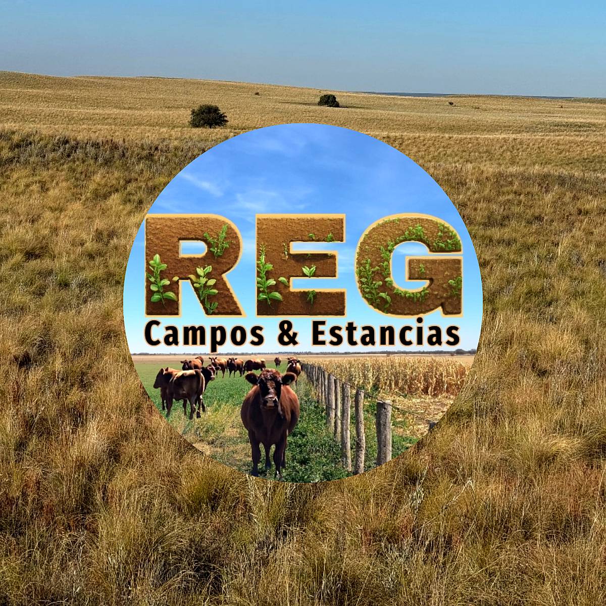 3700 Hectareas, el Durazno - la Pampa