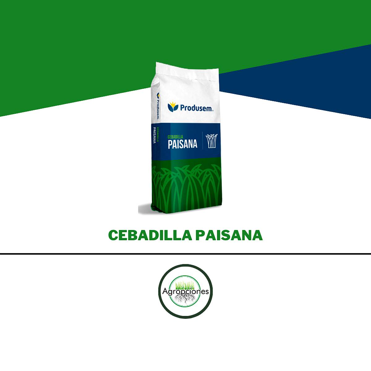 Semilla de Cebadilla Paisana - Produsem