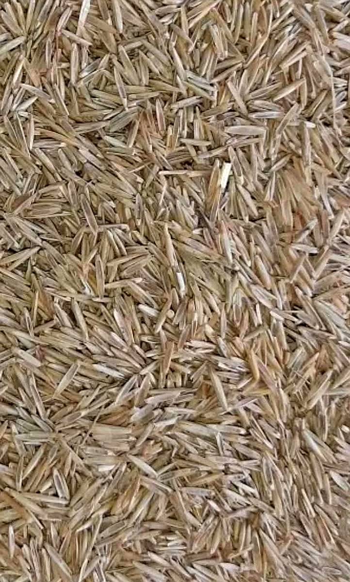 Agropiro Criollo Limpio a Granel