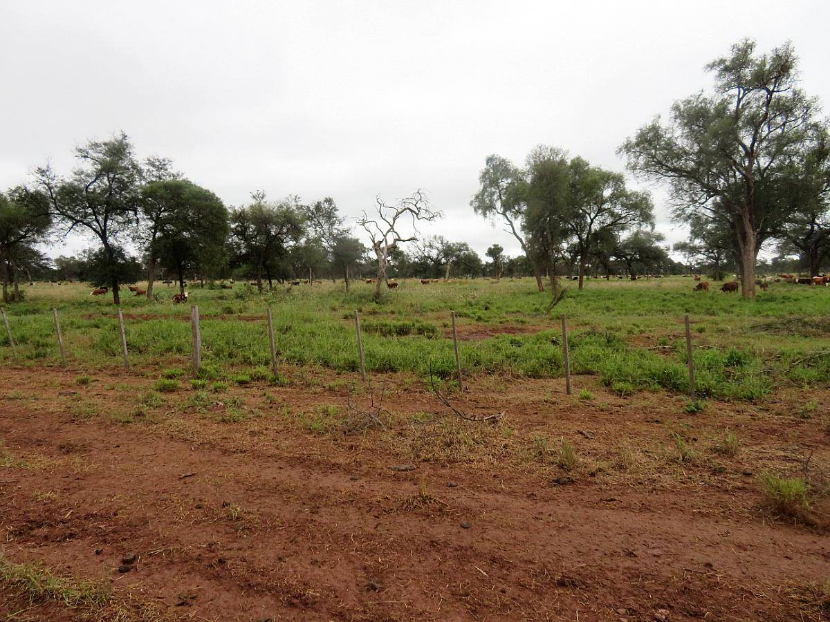 La Estrella - 2755 Ha - Salta