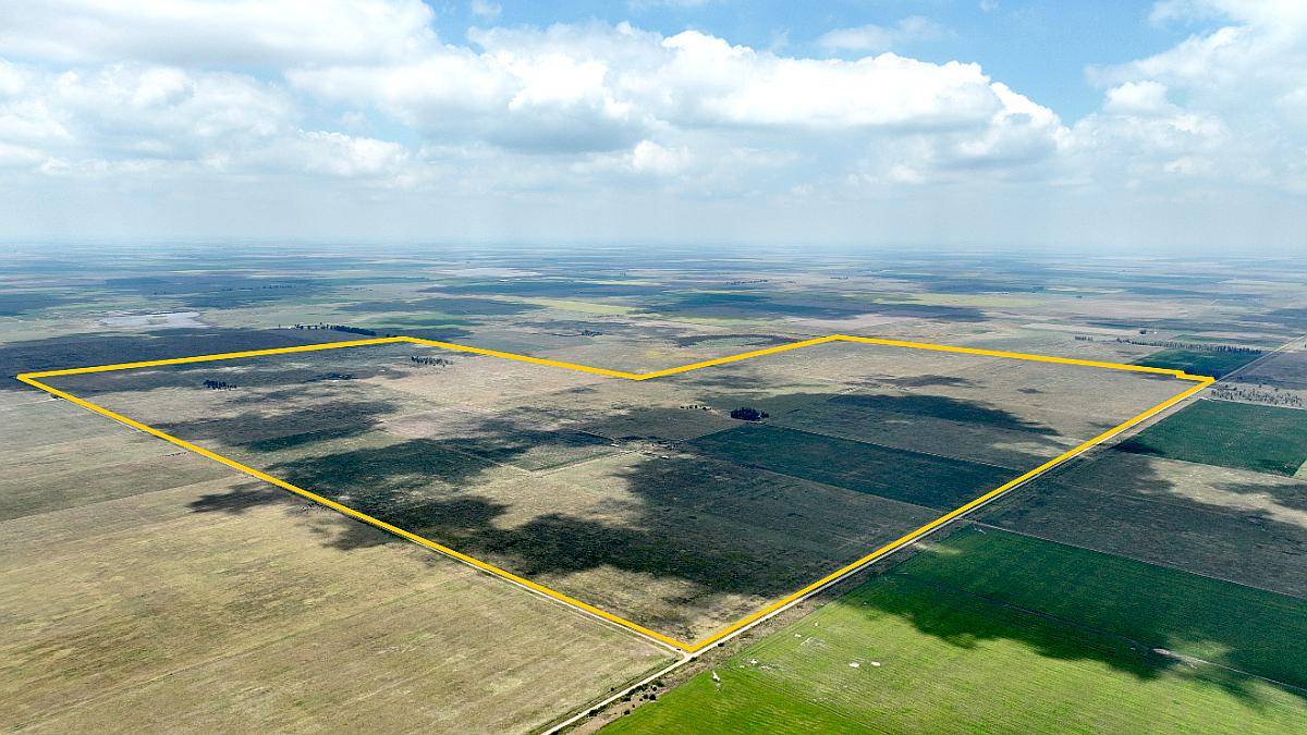 664 Has. Campo Ganadero en Gral. Villegas