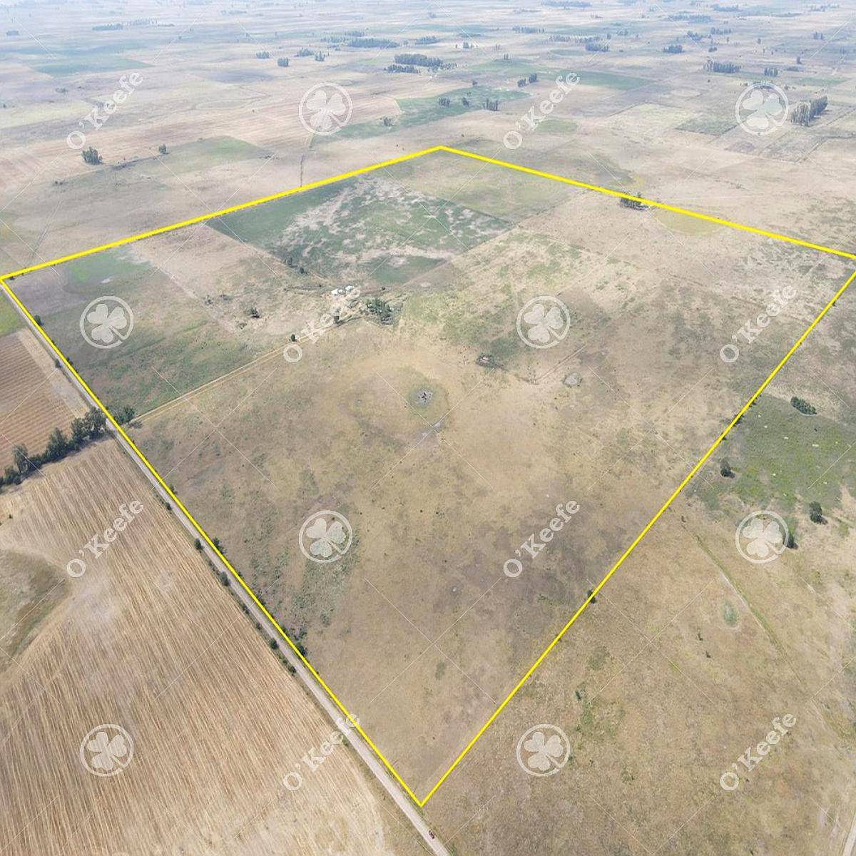 Campo en Venta 168 Has en Lobos . muy Buen Acceso