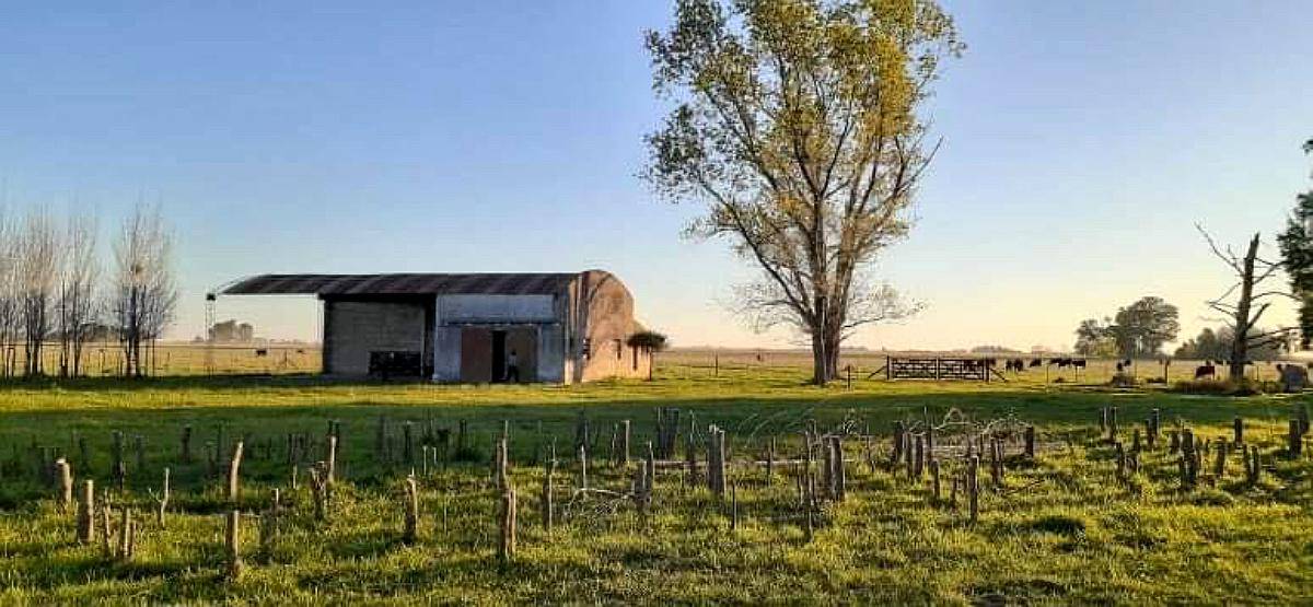 150 Has. Ganaderas con Mejoras Ranchos Agroads