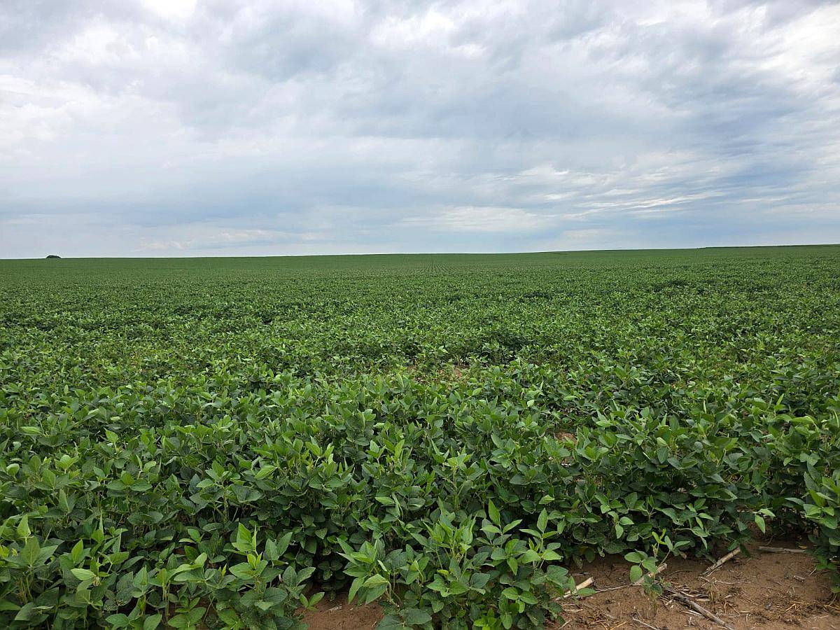 700 Hectáreas Agrícolas Fraga