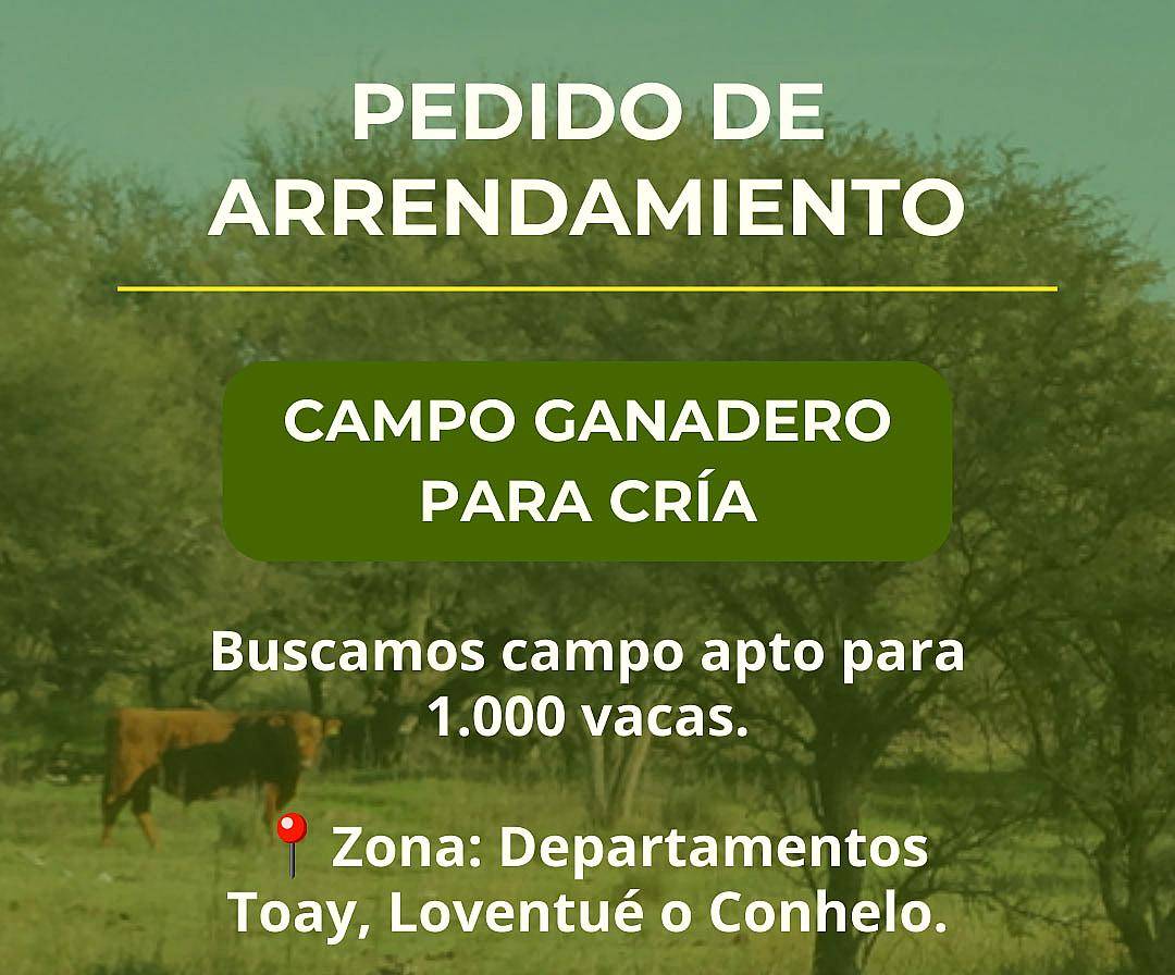 La Pampa - Pedidos de Campos para Arrendamientos Ganaderos