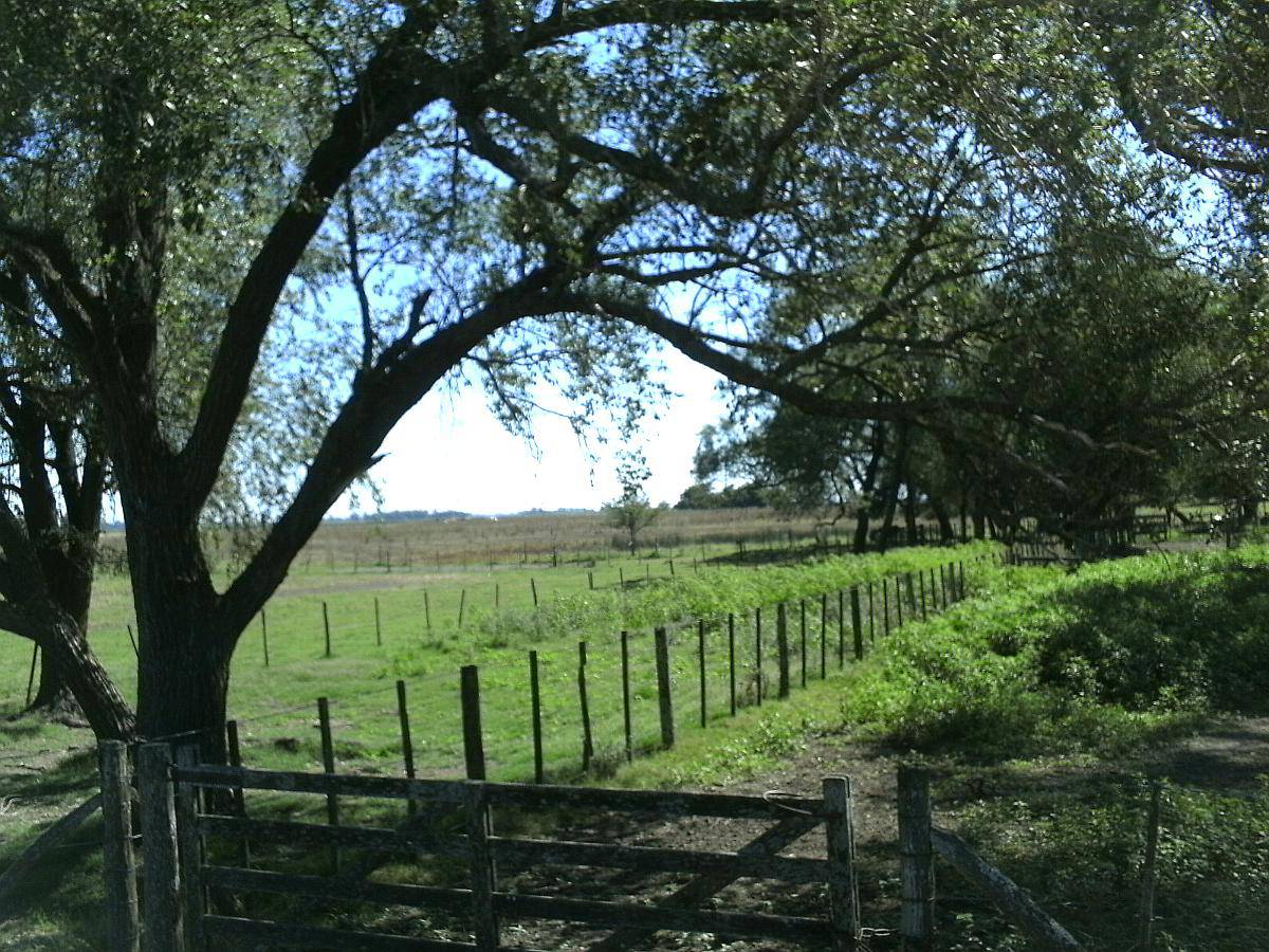 Campo Mixto Roque Perez