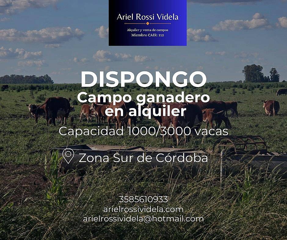 Campo Ganadero en Alquiler SUR de Cordoba