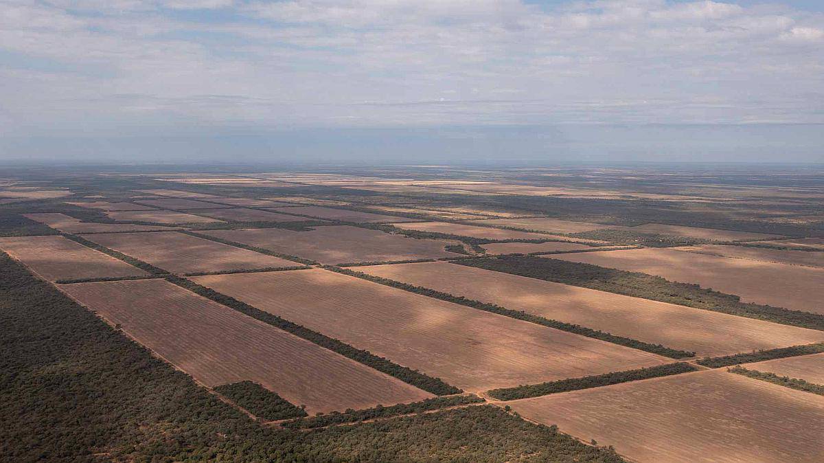 Pcia. de Salta - Apolinario Saravia 6390 Has