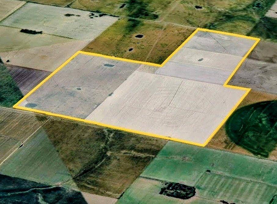 Agricultura 215 Has Zona Norte Prov. Bs.ss