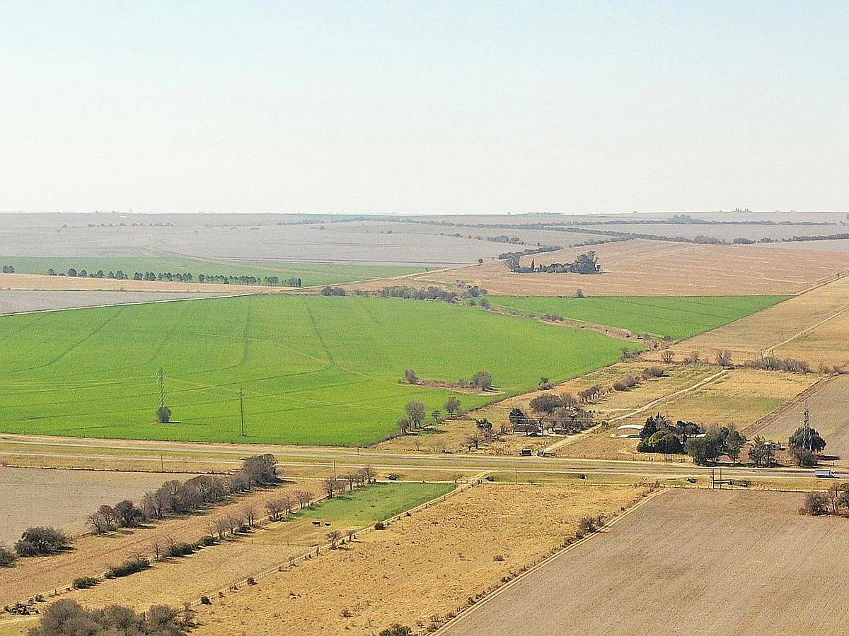 Las Bajadas, Calamuchita, Córdoba - 72 Ha