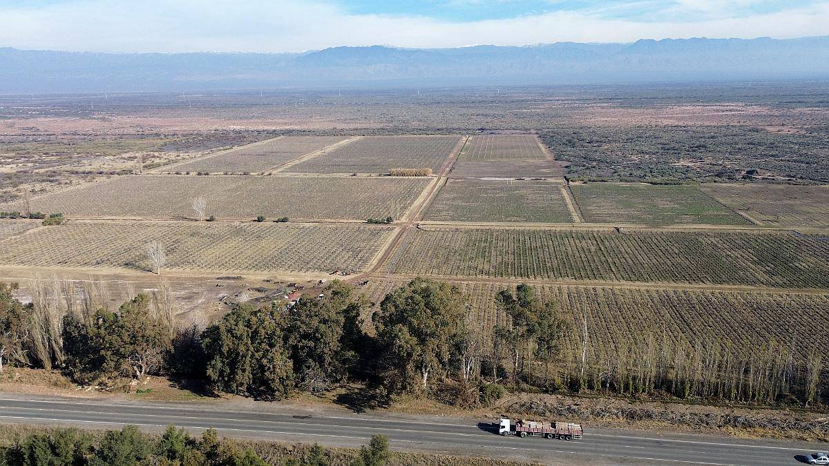 Finca de 60ha en Ruta N° 40 Capdevilla Derecho de Riego