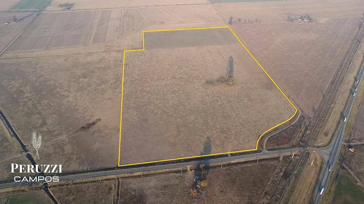 40 Has en San Genaro Sobre Ruta