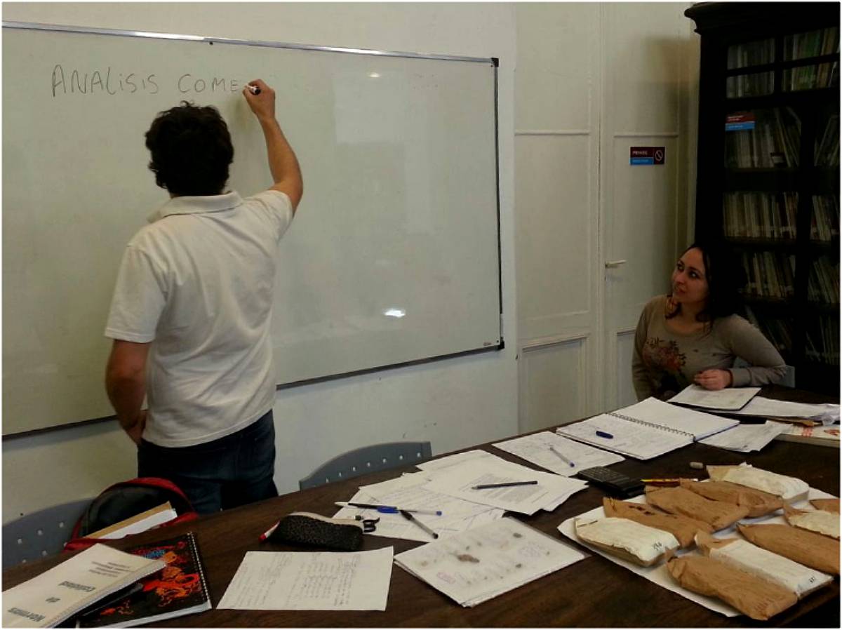 Perito Clasificador de Cereales, Oleaginosas y Legumbres.