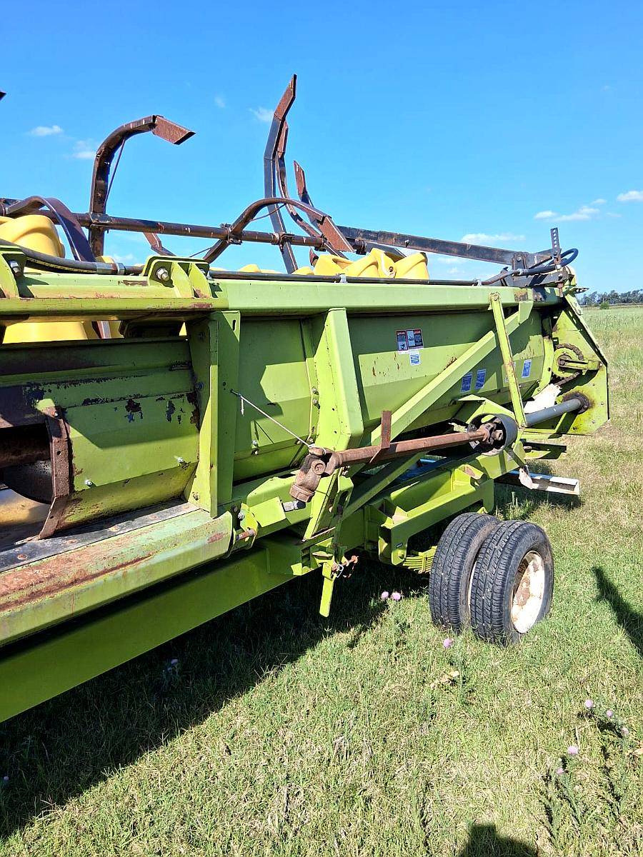 Maicero Allioschis 18 a 42