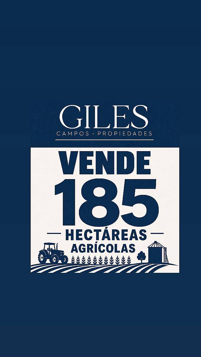 Campo 185 Hectáreas Agricolas Rueda ( Santa FE)