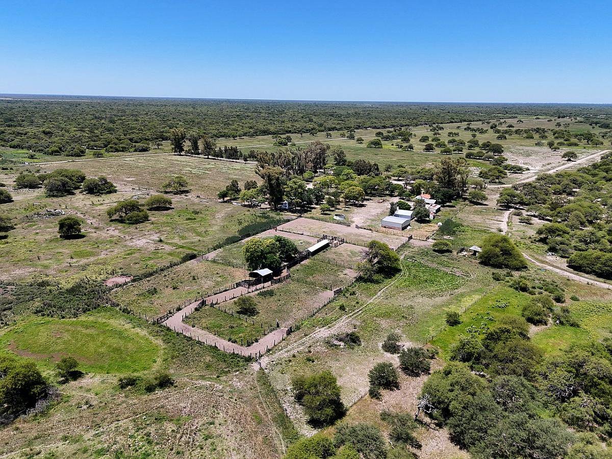 1491 Has Ganaderas de Cría - la Gallareta - Vera - Santa FE