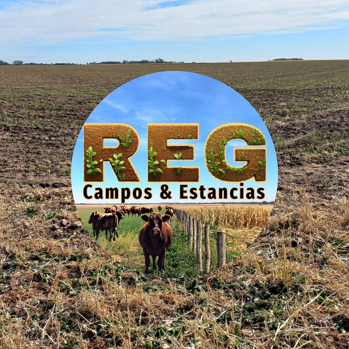 420 Has - Doblas, L.p.