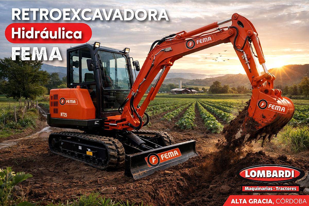 Excavadora Hidráulica Fema - NT 25