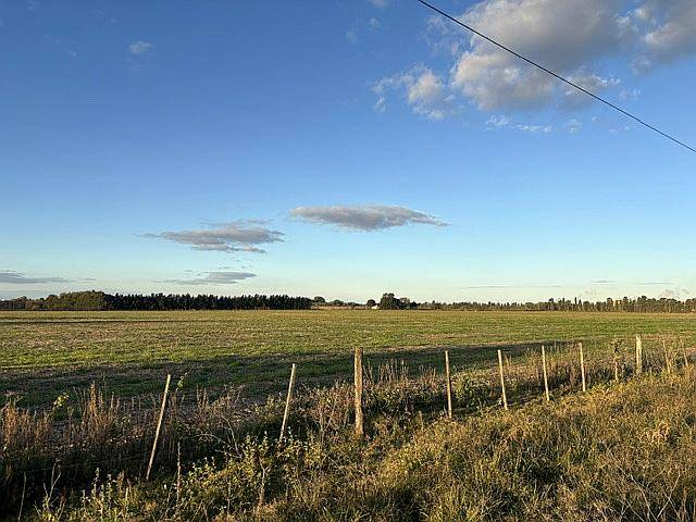 Campo de 20 Has Agrícolas en San Pedro, Asfalto y Luz.