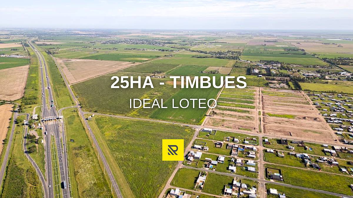 25ha Timbues - Ideal Loteo