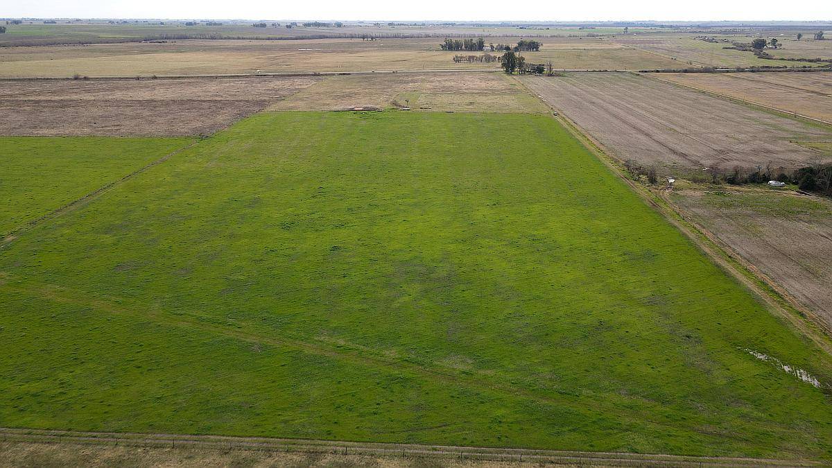 10 Hectáreas Agrícolas a 500 Metros de Ruta, Gualeguaychú.