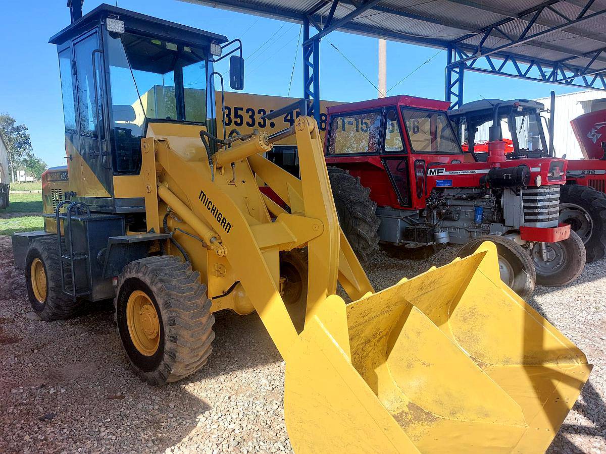 Pala Cargadora Michigan R50c