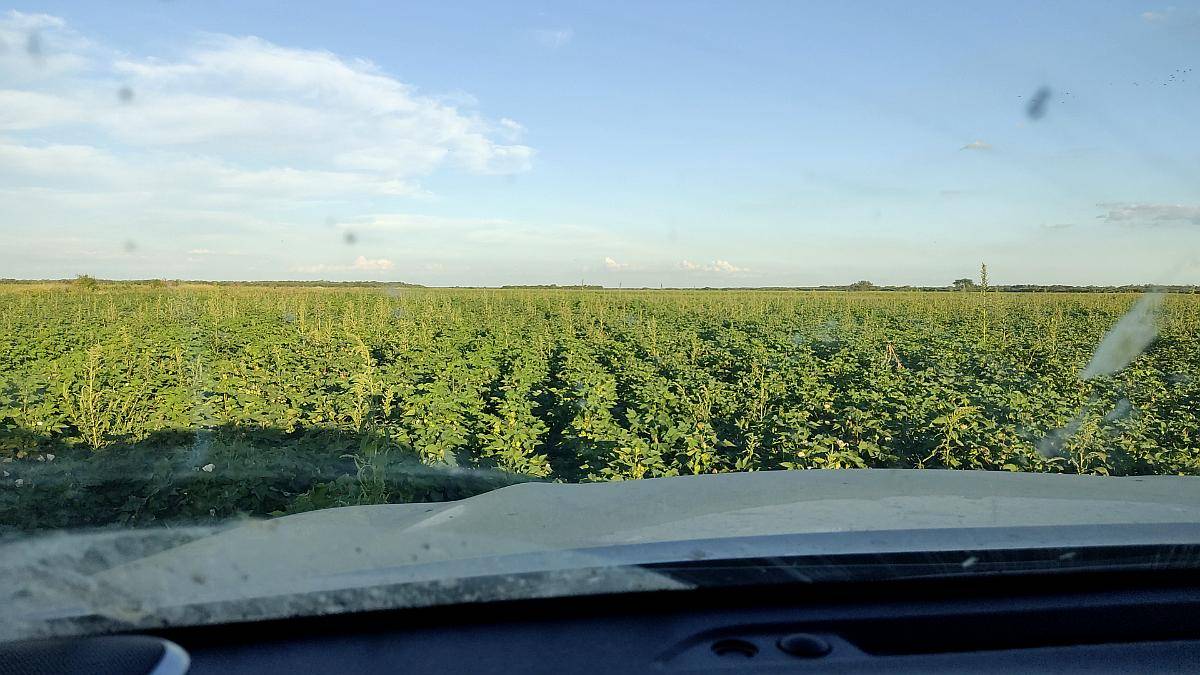 840 Has Norte de STA FE