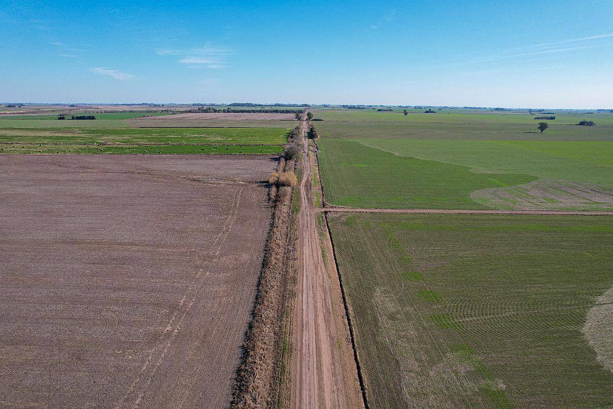 54 Ha en Acebal Campo 100% Agrícola - u$s 20.000 / ha - Agroads