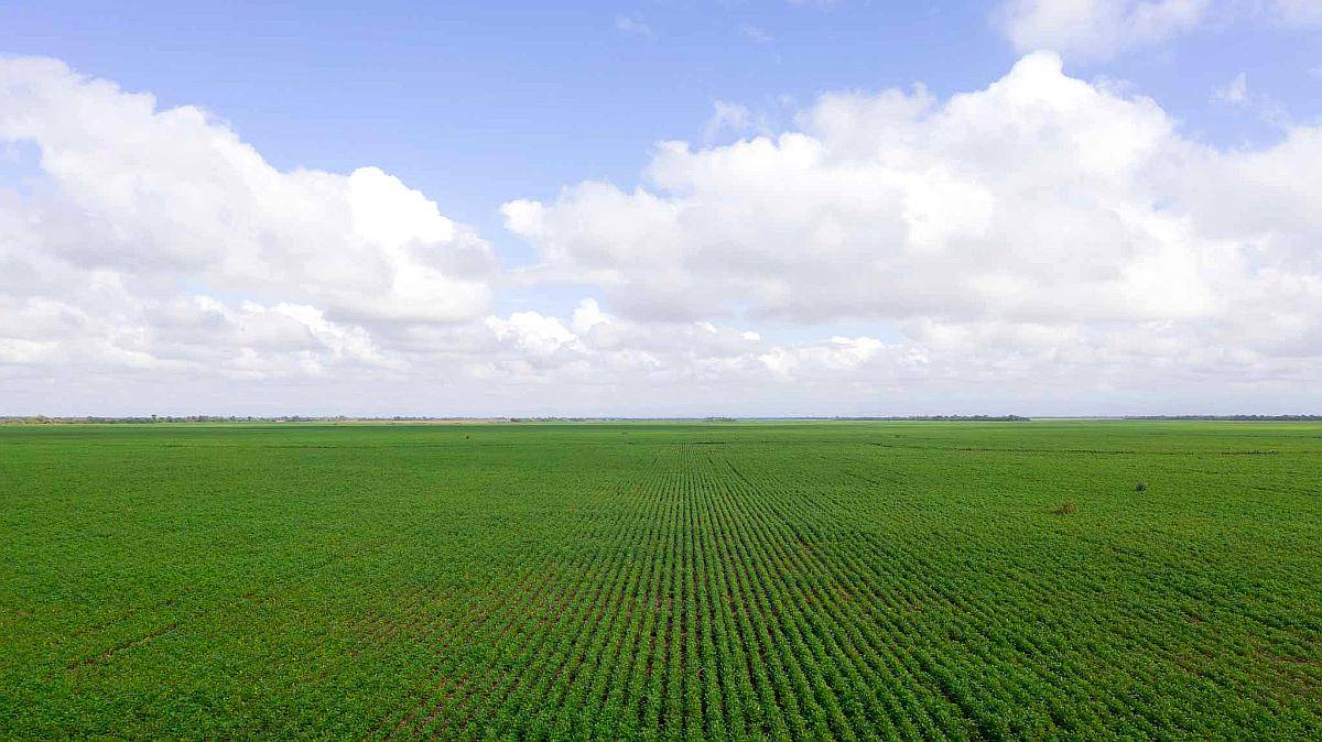 Pcia. de Salta - las Lajitas 8005 Has