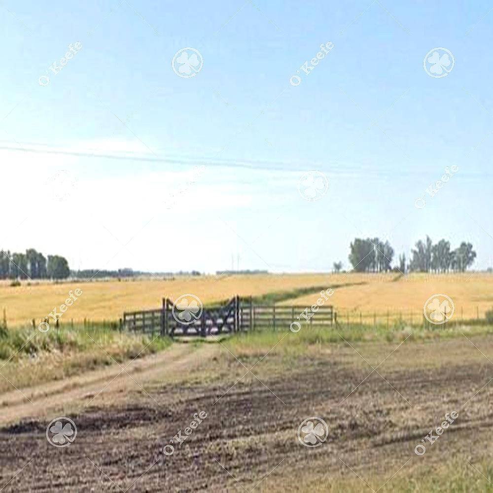 Campo en Venta de 190 Has en Tres Arroyos. Agricola